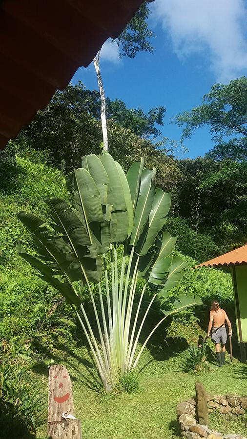 Casita Rio Indio Villa Nombre de Dios Exteriör bild