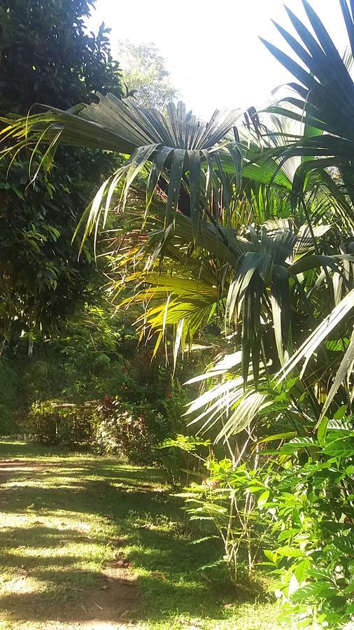 Casita Rio Indio Villa Nombre de Dios Exteriör bild