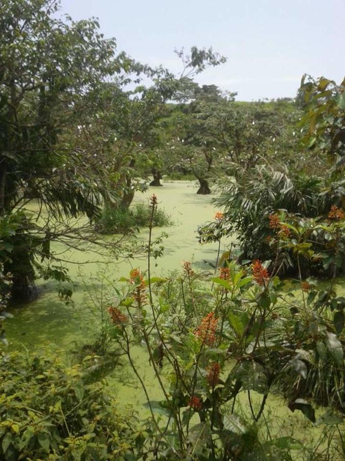 Casita Rio Indio Villa Nombre de Dios Exteriör bild